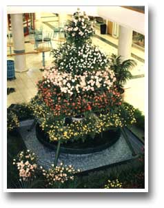 a tree of roses