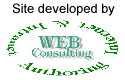 Web Consulting